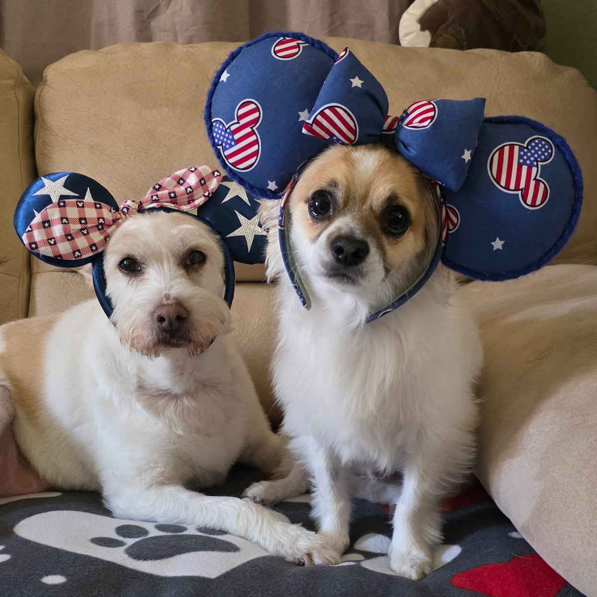 🇺🇸 The Liberty Legend Ears 🇺🇸